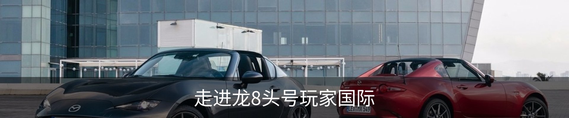 走进龙8头号玩家国际